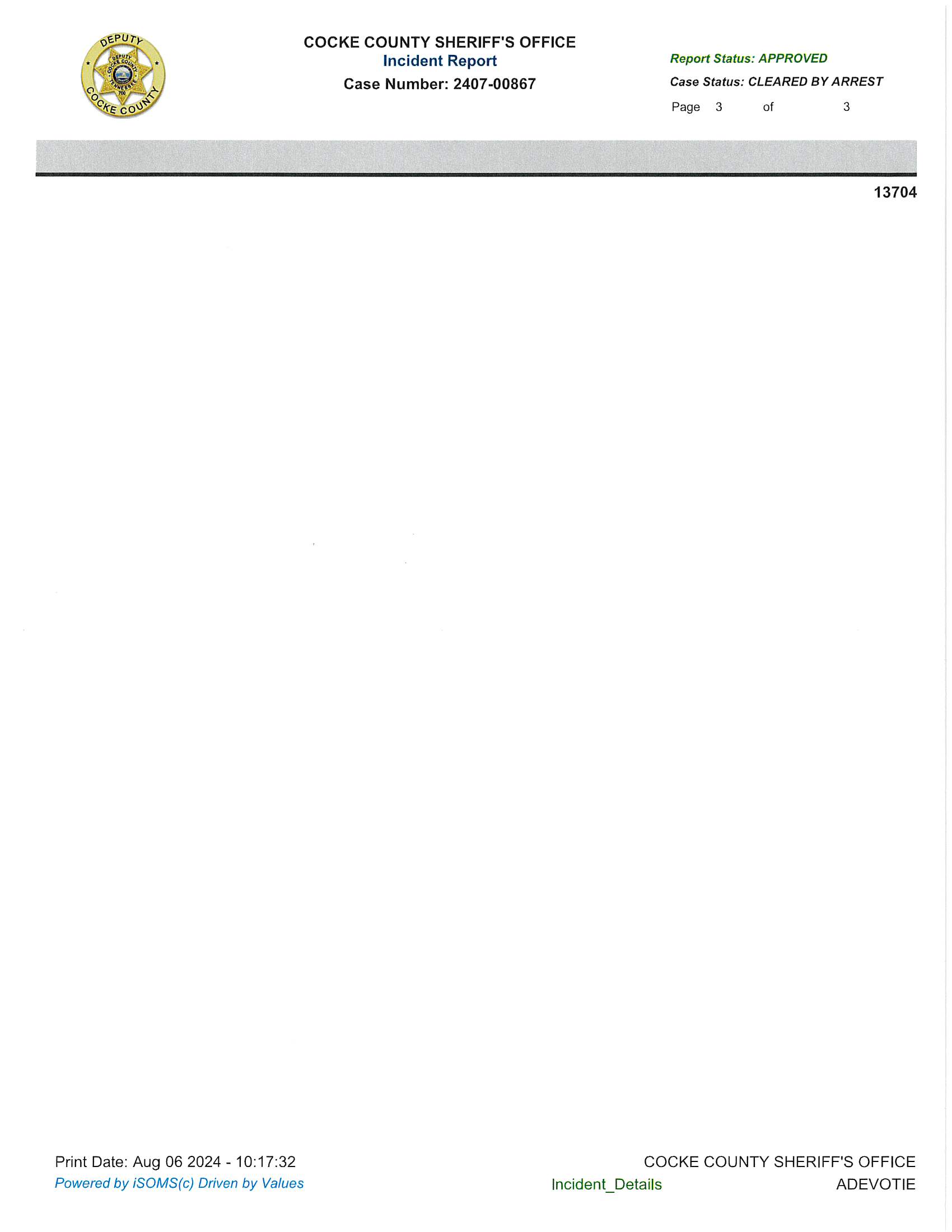 Black-incident-report-07-06-2024-Domestic-Assaul_Page_3.jpg